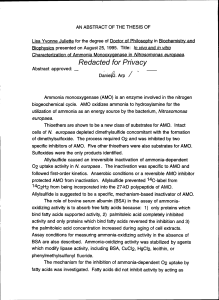 Lisa Yvonne Juliette for the degree of Doctor of Philosophy... Biophysics presented on August 25, 1995. Title: In vivo and...