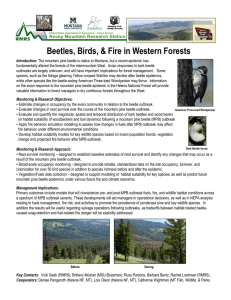Beetles, Birds, &amp; Fire in Western Forests