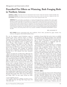 Prescribed Fire Effects on Wintering, Bark-Foraging Birds in Northern Arizona