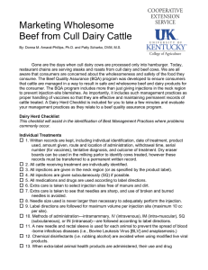 Marketing Wholesome Beef from Cull Dairy Cattle
