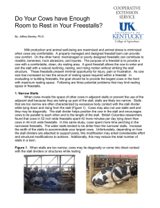 Do Your Cows have Enough Room to Rest in Your Freestalls?