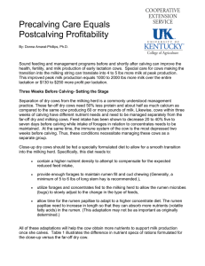 Precalving Care Equals Postcalving Profitability