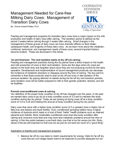 Management Needed for Care-free Milking Dairy Cows:  Management of