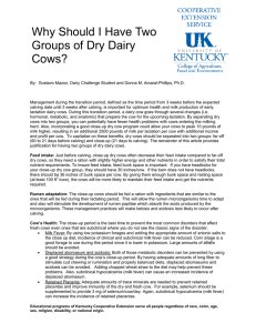 Why Should I Have Two Groups of Dry Dairy Cows?