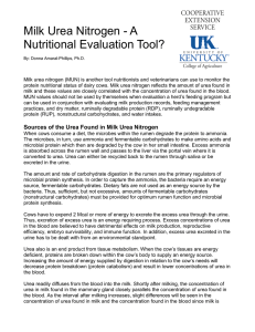 Milk Urea Nitrogen - A Nutritional Evaluation Tool?