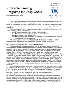 Profitable Feeding Programs for Dairy Cattle