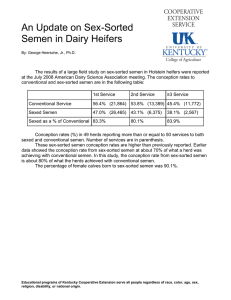 An Update on Sex-Sorted Semen in Dairy Heifers
