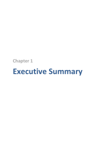 Executive Summary Chapter 1