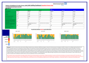 Safe Staffing Dashboard Inpatient Areas Only