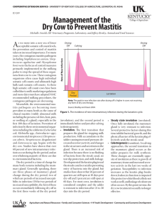 Management of the Dry Cow to Prevent Mastitis A