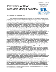 Prevention of Hoof Disorders Using Footbaths