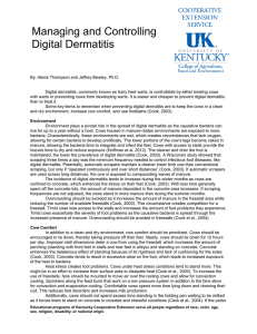 Managing and Controlling Digital Dermatitis