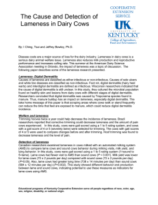 The Cause and Detection of Lameness in Dairy Cows