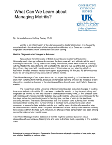 What Can We Learn about Managing Metritis?
