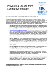Preventing Losses from Contagious Mastitis