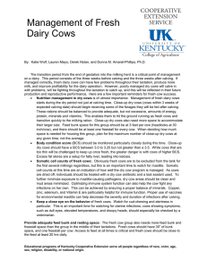 Management of Fresh Dairy Cows