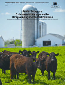 Feedlot Design and Environmental Management for Backgrounding and Stocker Operations