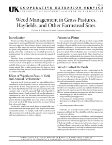 Weed	Management	in	Grass	Pastures, Hayfields,	and	Other	Farmstead	Sites Introduction Poisonous	Plants