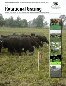 Rotational Grazing