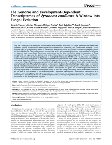 Pyronema confluens The Genome and Development-Dependent Transcriptomes of : A Window into