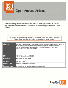 The Fusarium graminearum Histone H3 K27 Methyltransferase KMT6