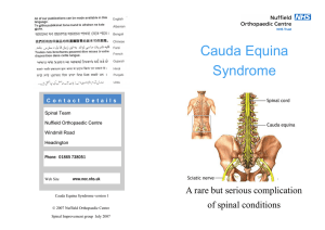 Cauda Equina Syndrome A rare but serious complication of spinal conditions