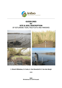 GUIDELINES for SITE &amp; SOIL DESCRIPTION