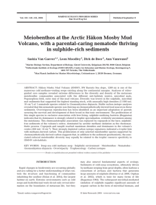 Meiobenthos at the Arctic Håkon Mosby Mud in sulphide-rich sediments