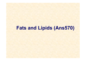 Fats and Lipids (Ans570)