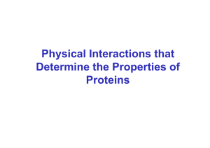 Physical Interactions that Determine the Properties of Proteins