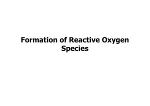 Formation of Reactive Oxygen Species