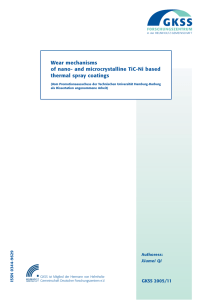 Wear mechanisms of nano- and microcrystalline TiC-Ni based thermal spray coatings