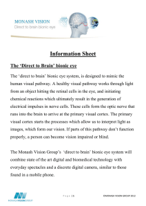 Information Sheet The ‘Direct to Brain’ bionic eye