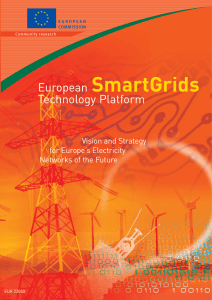 SmartGrids European Technology Platform Vision and Strategy