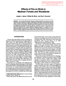 Birds Effects of Fire Forests Woodlands
