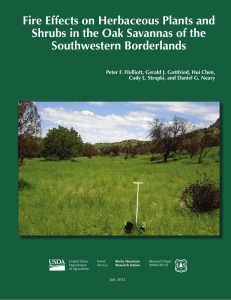 Fire Effects on Herbaceous Plants and Southwestern Borderlands