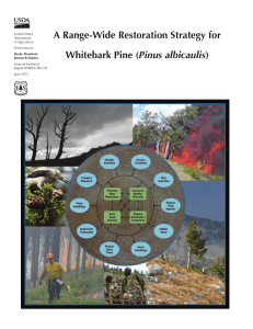 A Range-Wide Restoration Strategy for Pinus albicaulis United States Department
