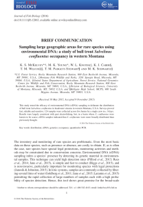 BRIEF COMMUNICATION Sampling large geographic areas for rare species using Salvelinus confluentus