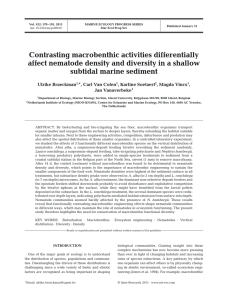 Contrasting macrobenthic activities differentially subtidal marine sediment