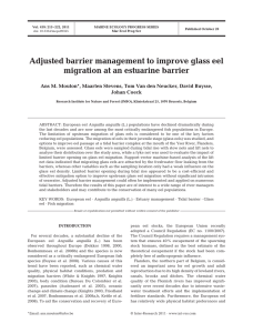 Adjusted barrier management to improve glass eel Johan Coeck
