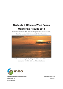 Seabirds &amp; Offshore Wind Farms Monitoring Results 2011