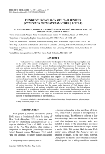 DENDROCHRONOLOGY OF UTAH JUNIPER JUNIPERUS OSTEOSPERMA (TORR.) LITTLE) (