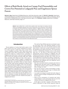 Effects of Bark Beetle Attack on Canopy Fuel Flammability and