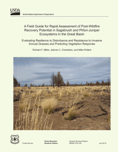 A Field Guide for Rapid Assessment of Post-Wildfire