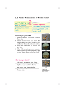 ACTIVITY 6.1.1 How to prepare sprouts from whole seeds?