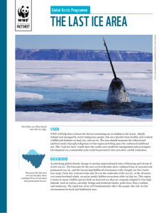 tHE LaSt icE arEa global arctic programme ViSion