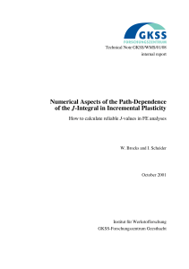 Numerical Aspects of the Path-Dependence J