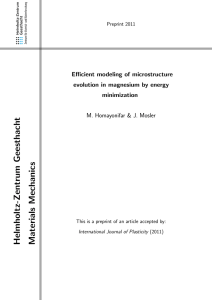 Efficient modeling of microstructure evolution in magnesium by energy minimization