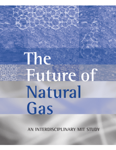 The Future of Natural Gas