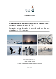 Dynamique  du  carbone  inorganique  dans ... arctique et échanges air-glace de CO